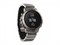 Спортивные часы Garmin Fenix Cronos ремешок - серебристый 1653 Спортивные часы Garmin Fenix Cronos ремешок - серебристый 1653
